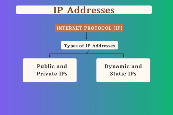 IP Addresses