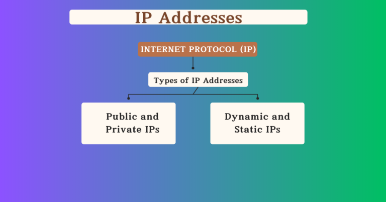 IP Addresses